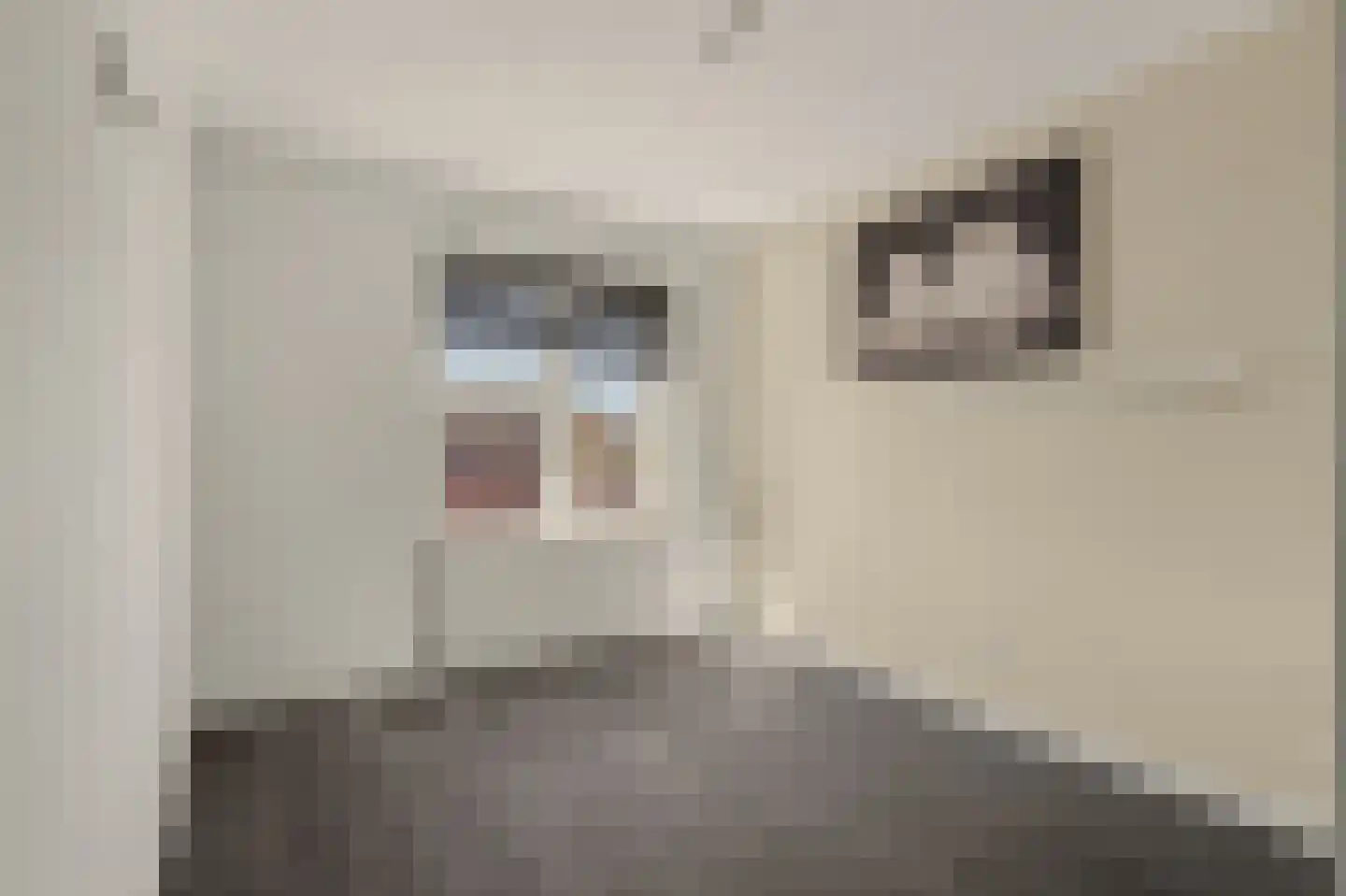 Korfbalstraat 11 Fijnaart thumbnail 12