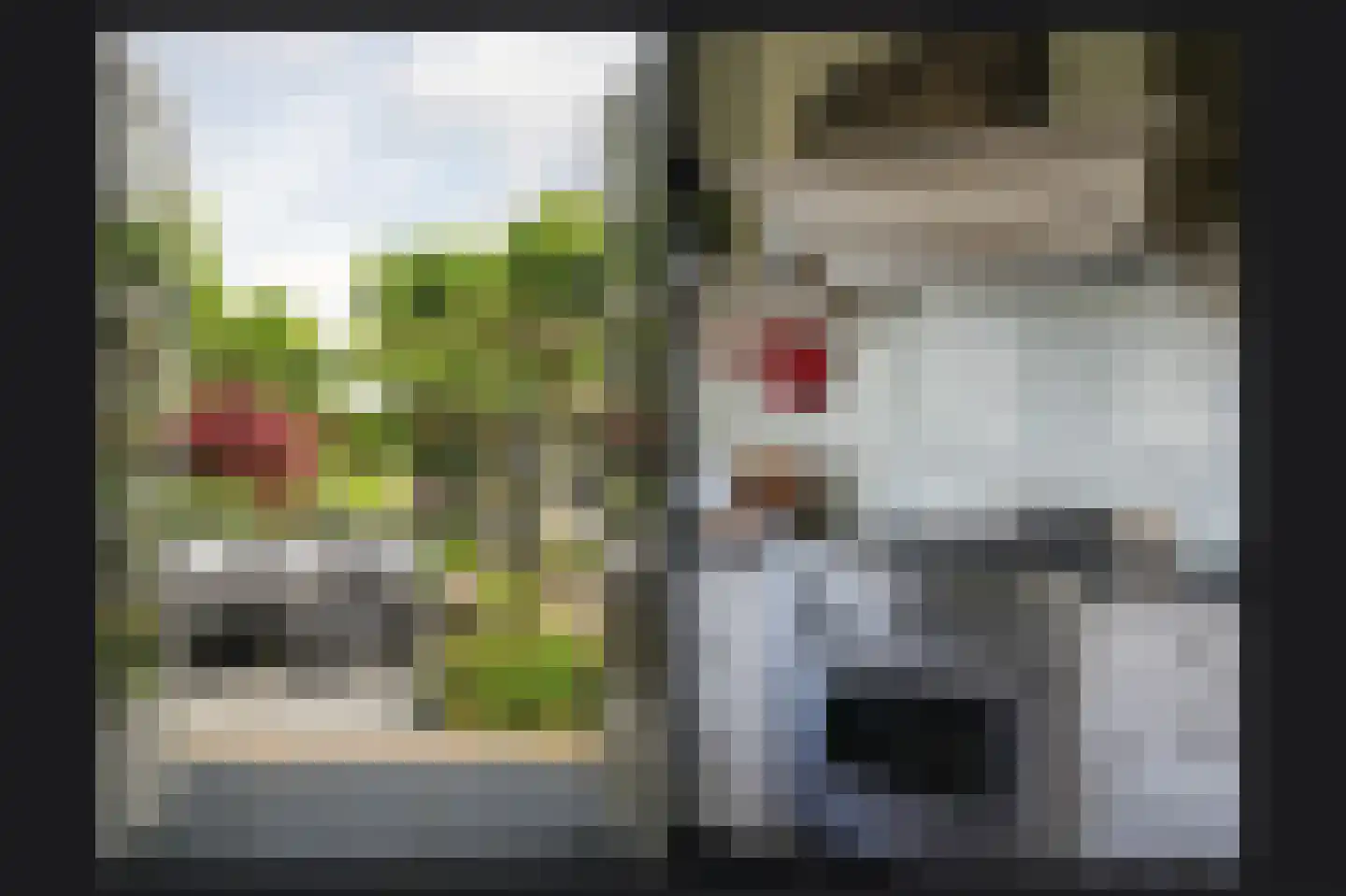 Korfgraaf 13 Hellouw thumbnail 18