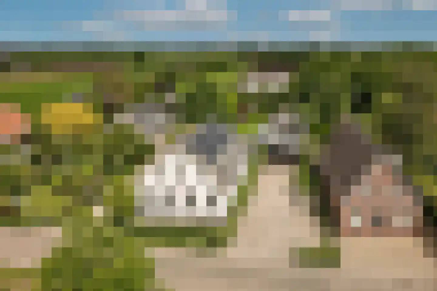 Korfgraaf 13 Hellouw thumbnail 40