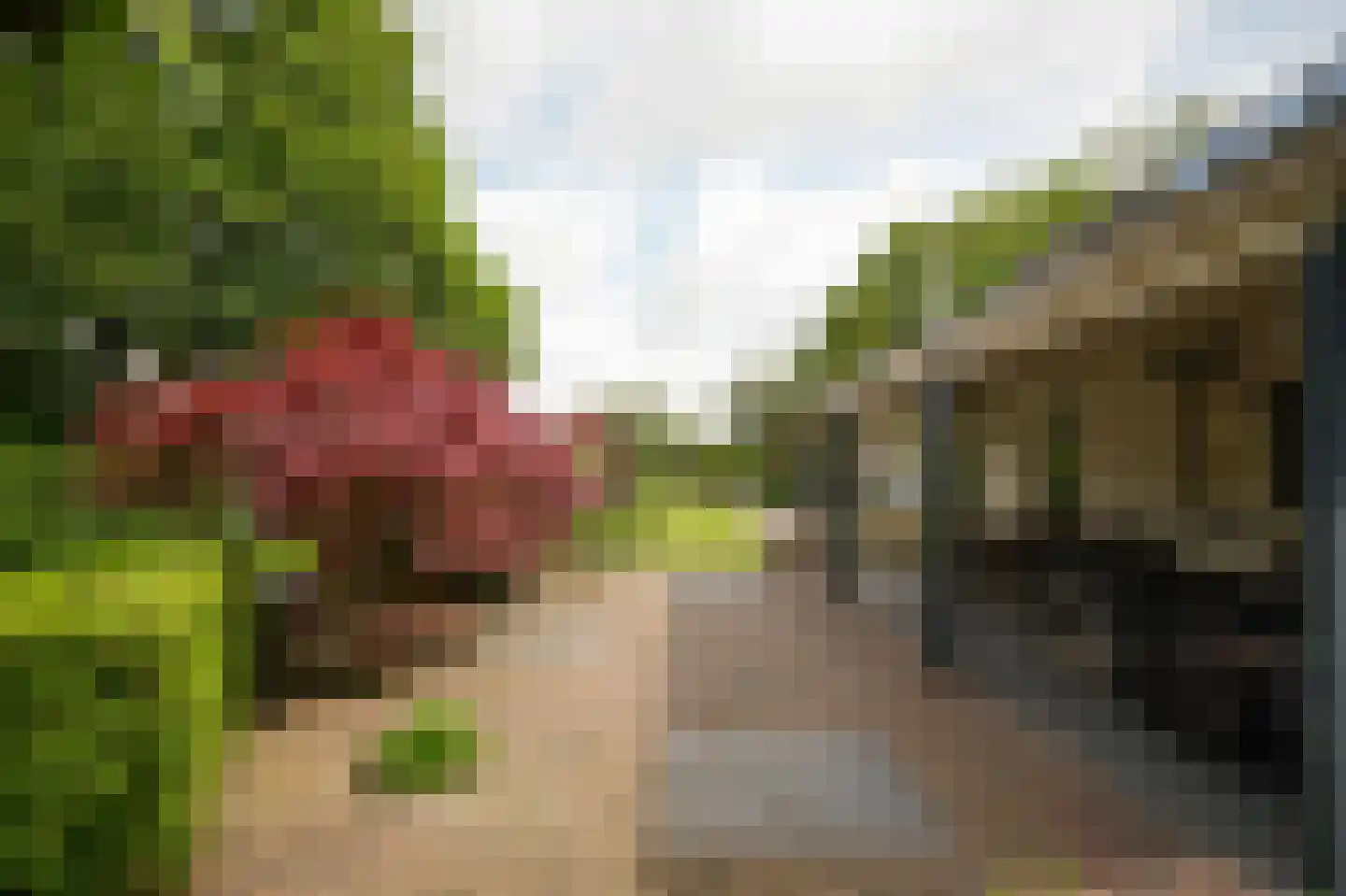 Korfgraaf 13 Hellouw thumbnail 45