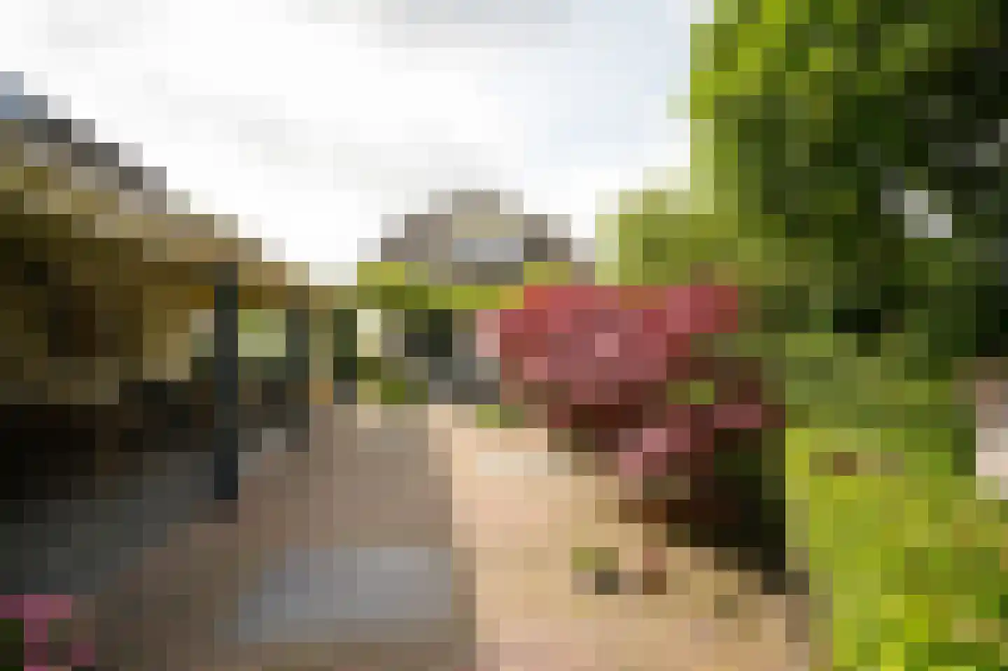 Korfgraaf 13 Hellouw thumbnail 55