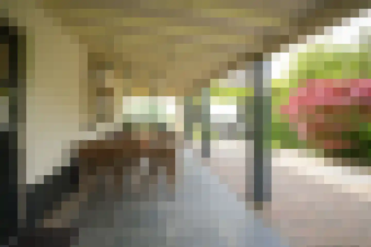 Korfgraaf 13 Hellouw thumbnail 59