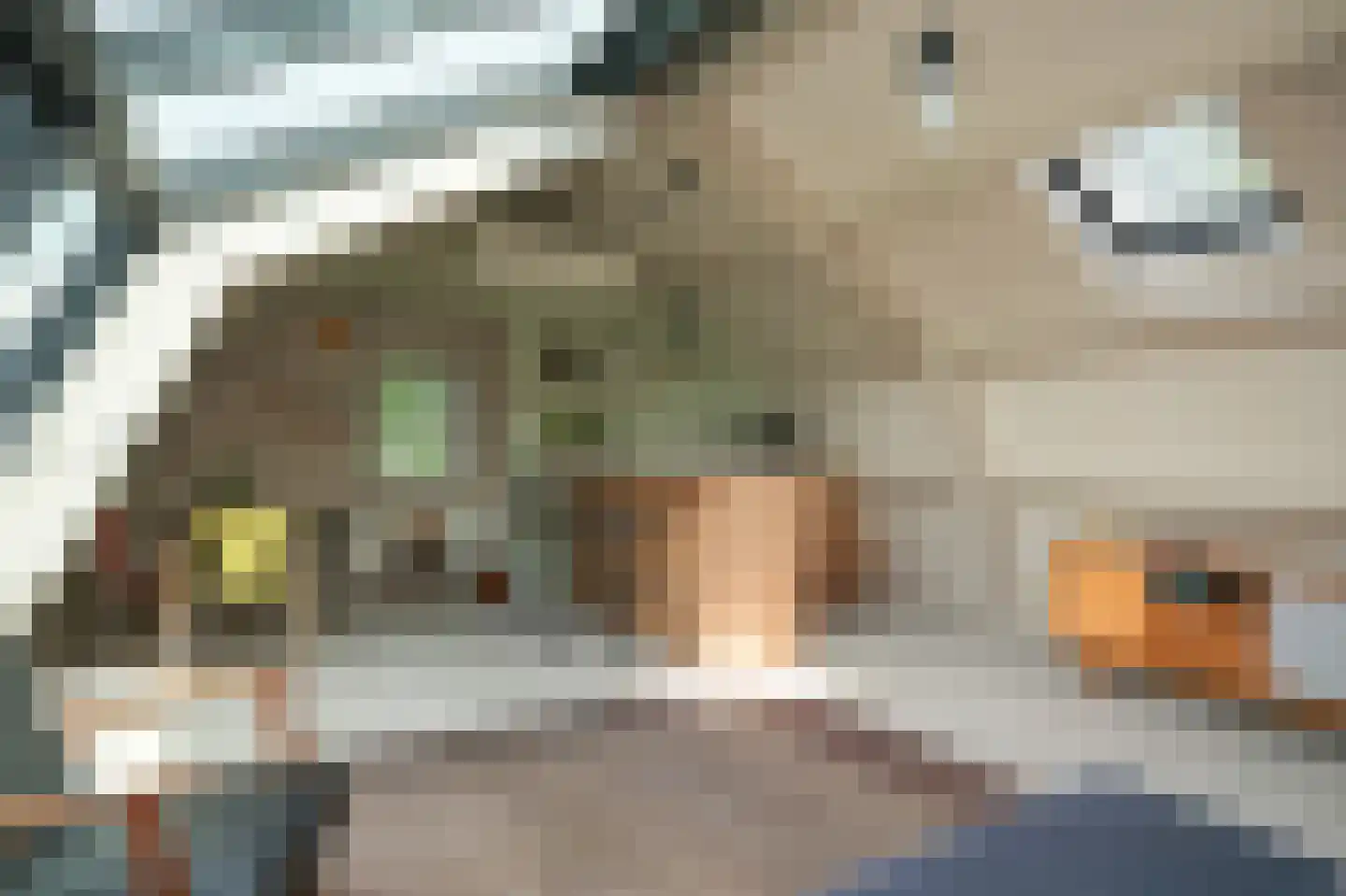 Korfgraaf 13 Hellouw thumbnail 65