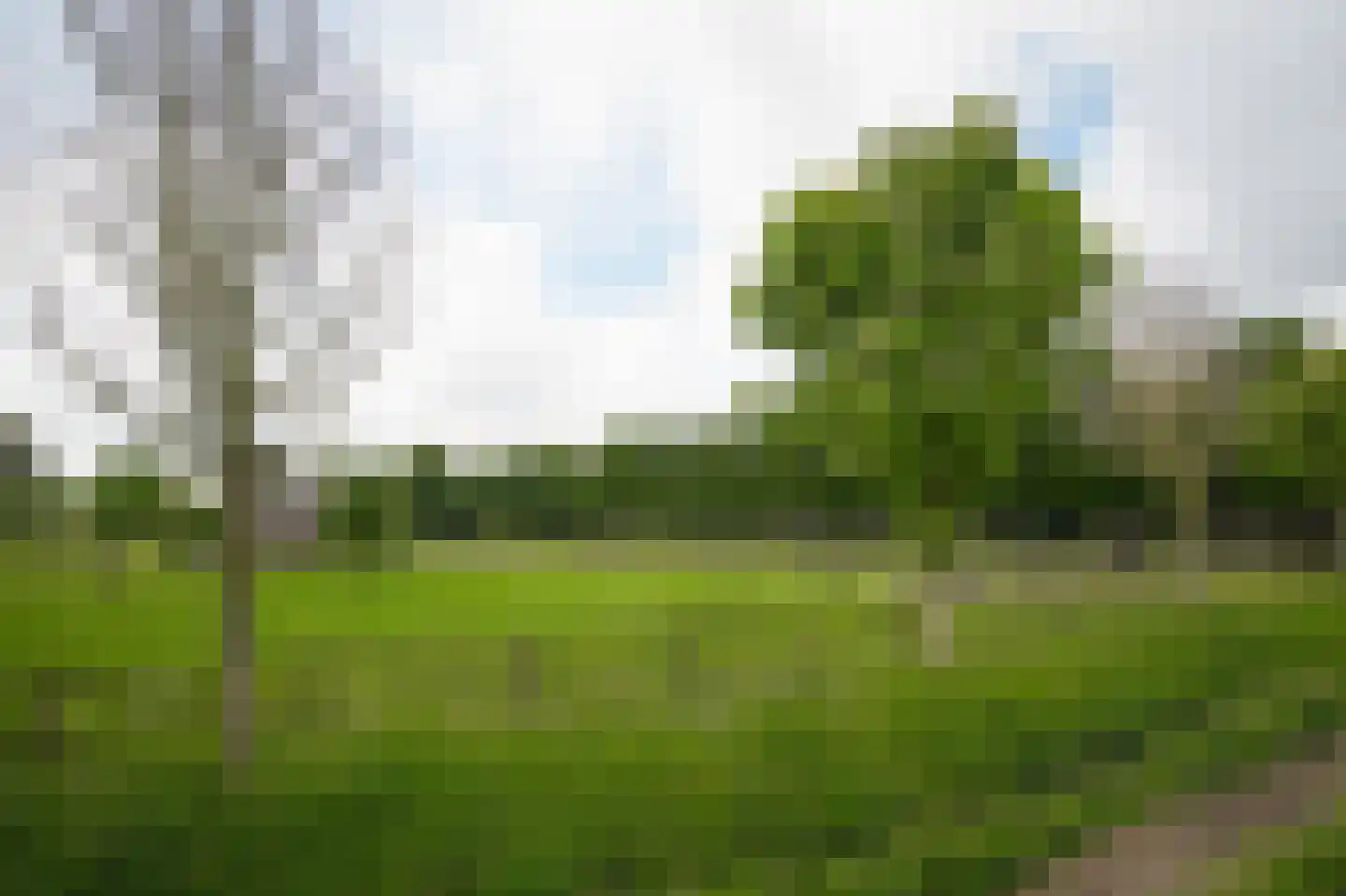 Korfgraaf 13 Hellouw thumbnail 77