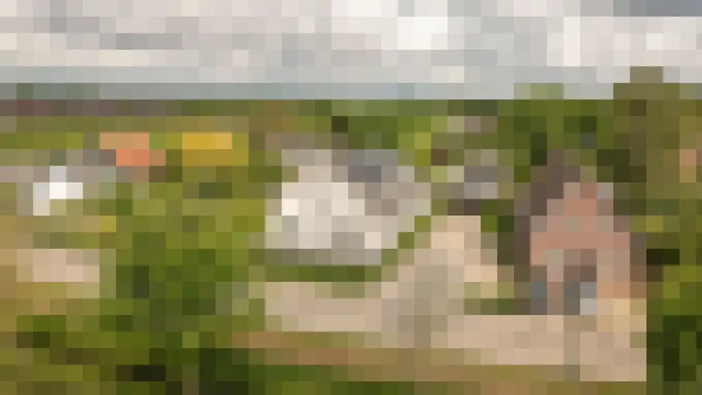 Korfgraaf 13 Hellouw thumbnail 78