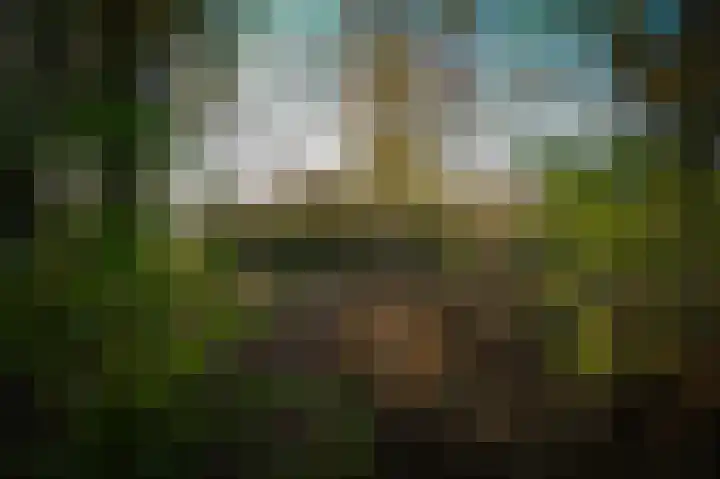 Korfgraaf 24 Hellouw thumbnail 62