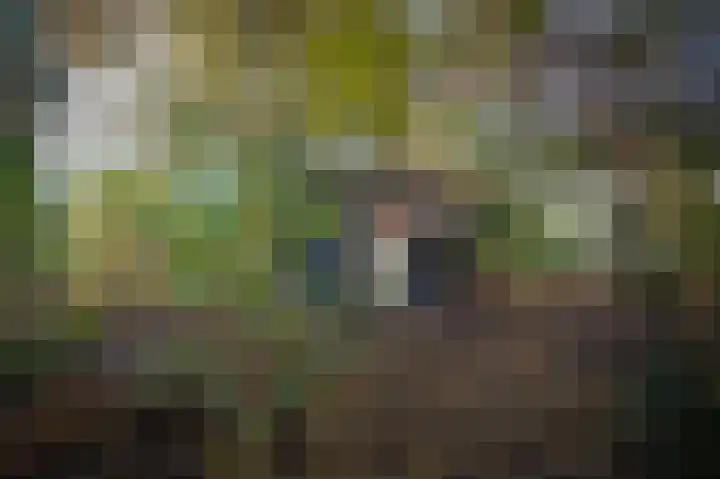 Korfgraaf 24 Hellouw thumbnail 68