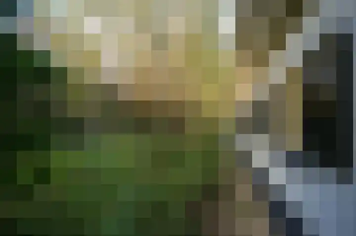 Korfgraaf 24 Hellouw thumbnail 77