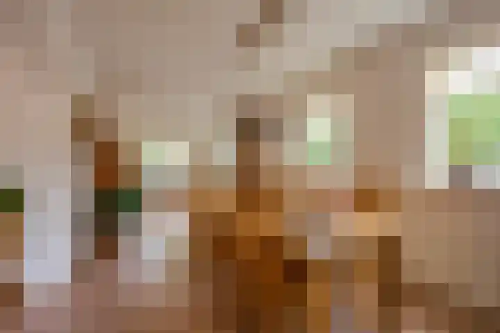 Korfmakerslaan 1 Voorthuizen thumbnail 10