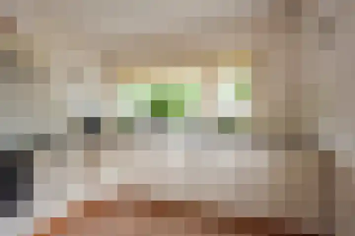 Korfmakerslaan 1 Voorthuizen thumbnail 12
