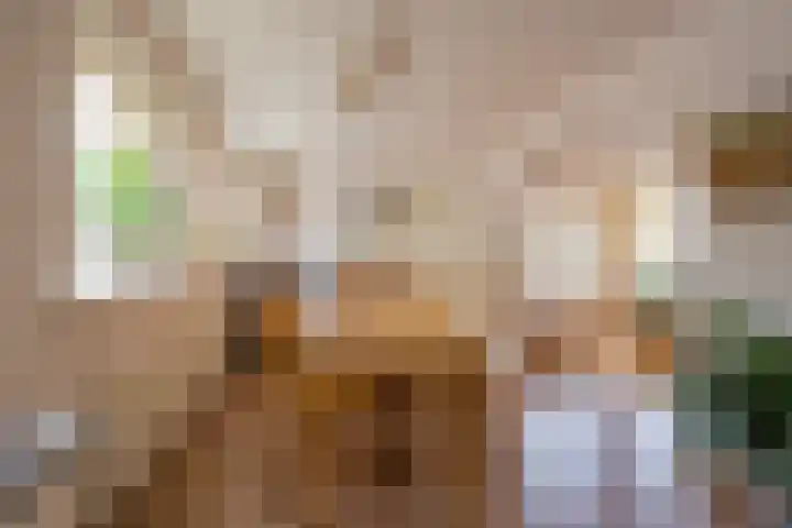 Korfmakerslaan 1 Voorthuizen thumbnail 14