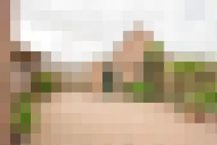 Korfmakerslaan 1 Voorthuizen thumbnail 17