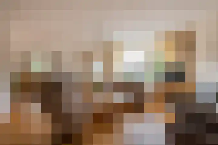 Korfmakerslaan 1 Voorthuizen thumbnail 18