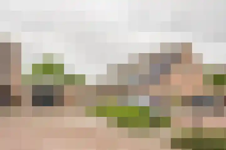 Korfmakerslaan 1 Voorthuizen foto 2