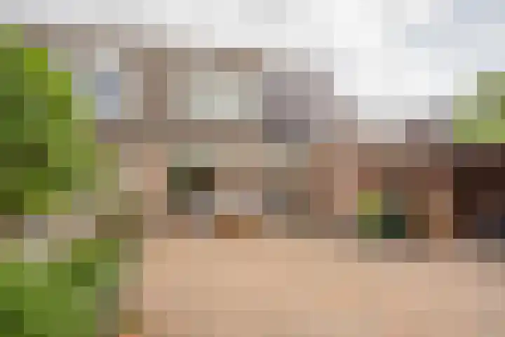 Korfmakerslaan 1 Voorthuizen foto 3