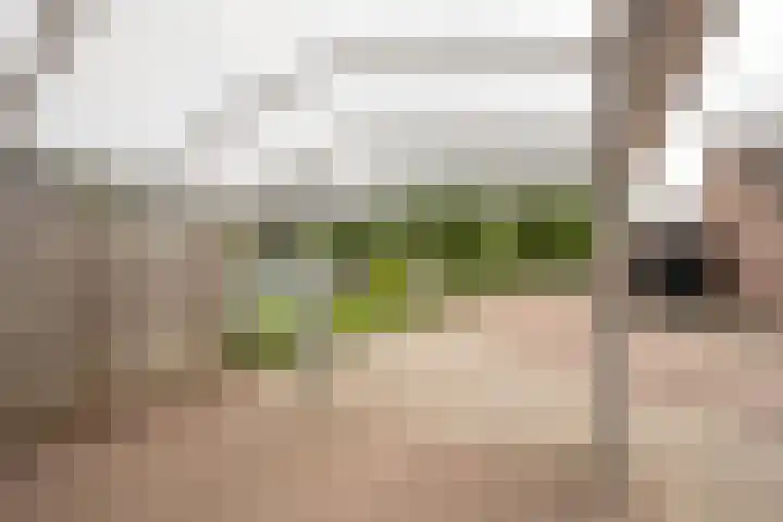 Korfmakerslaan 1 Voorthuizen thumbnail 37