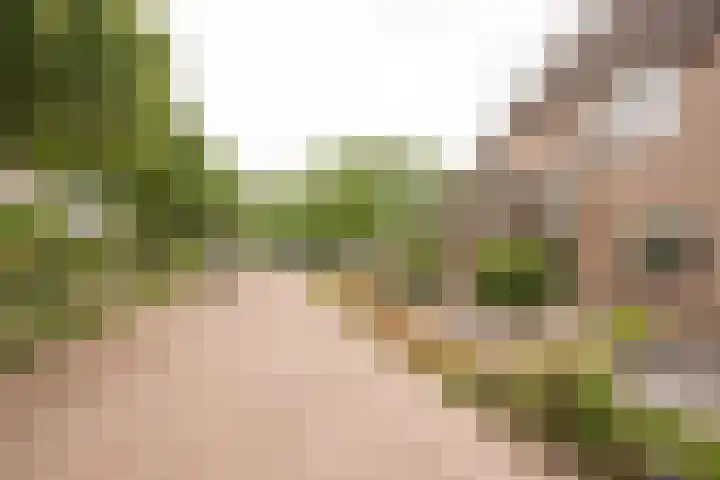 Korfmakerslaan 1 Voorthuizen thumbnail 38