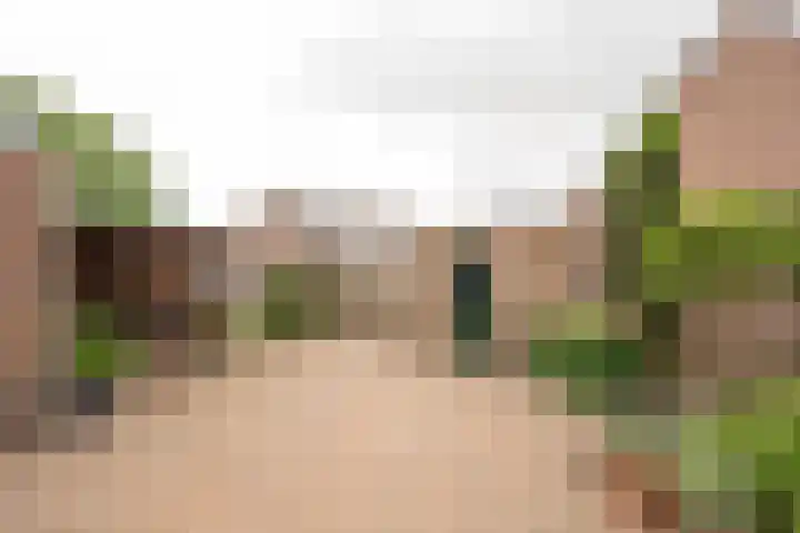 Korfmakerslaan 1 Voorthuizen thumbnail 4