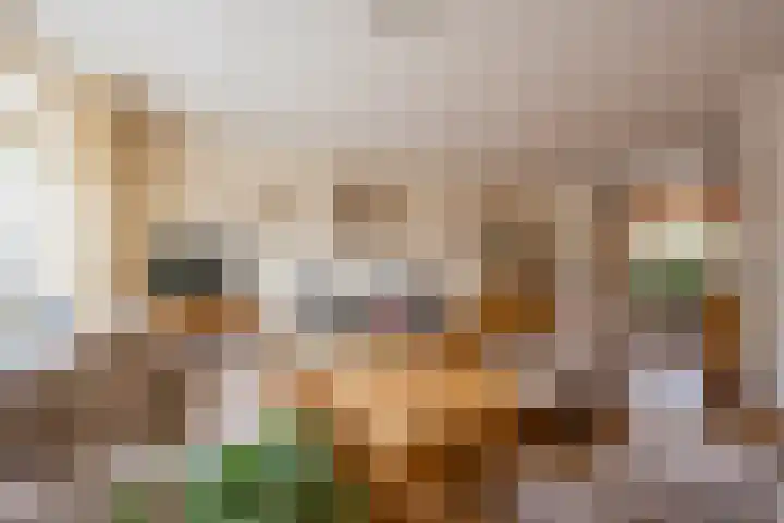 Korfmakerslaan 1 Voorthuizen thumbnail 8
