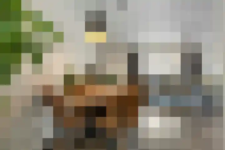 Korfmakerslaan 4 Voorthuizen thumbnail 11