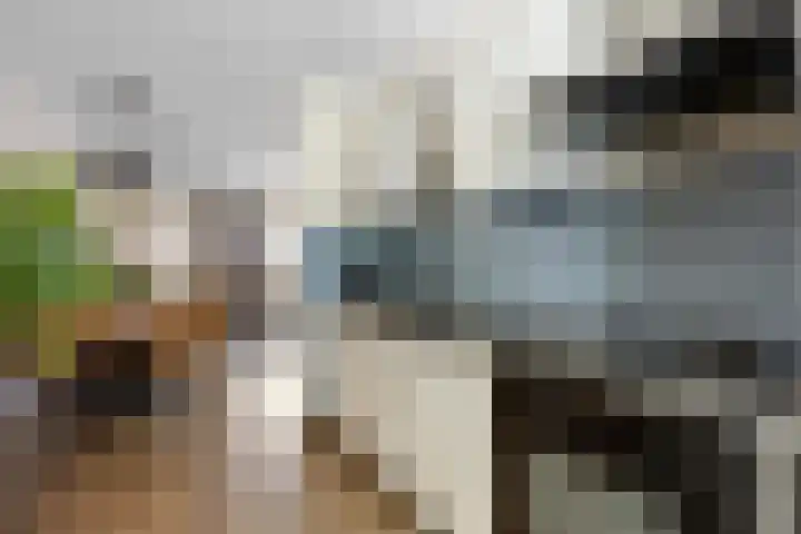 Korfmakerslaan 4 Voorthuizen thumbnail 12