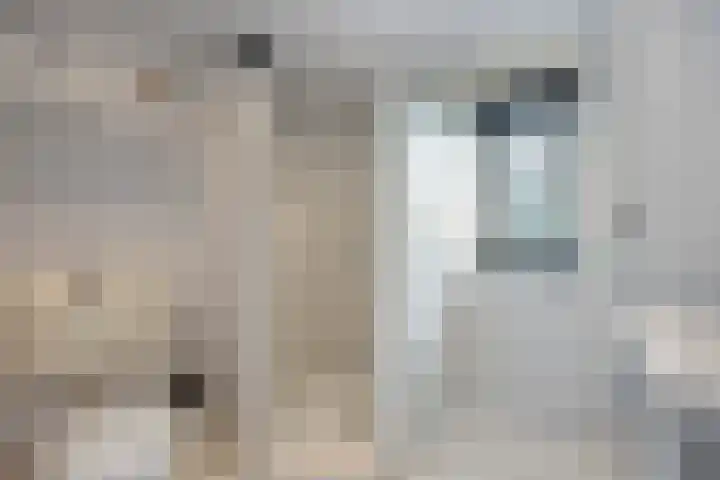 Korfmakerslaan 4 Voorthuizen thumbnail 20