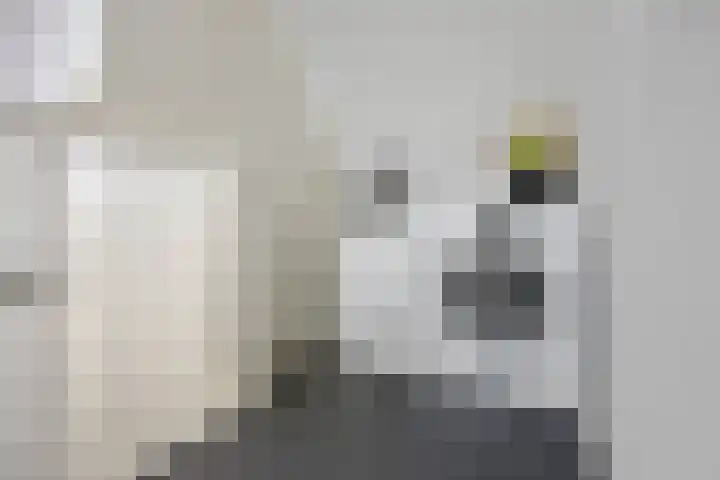 Korfmakerslaan 4 Voorthuizen thumbnail 24