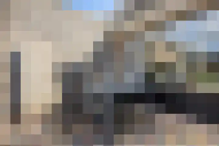 Korfmakerslaan 4 Voorthuizen thumbnail 29