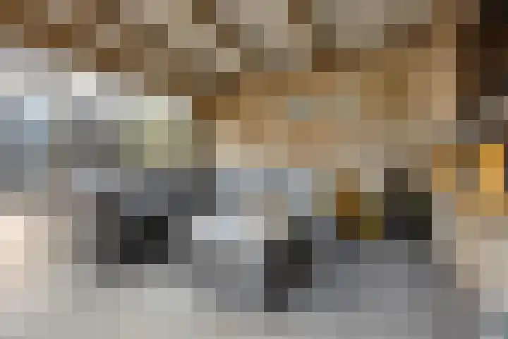 Korfmakerslaan 4 Voorthuizen thumbnail 31
