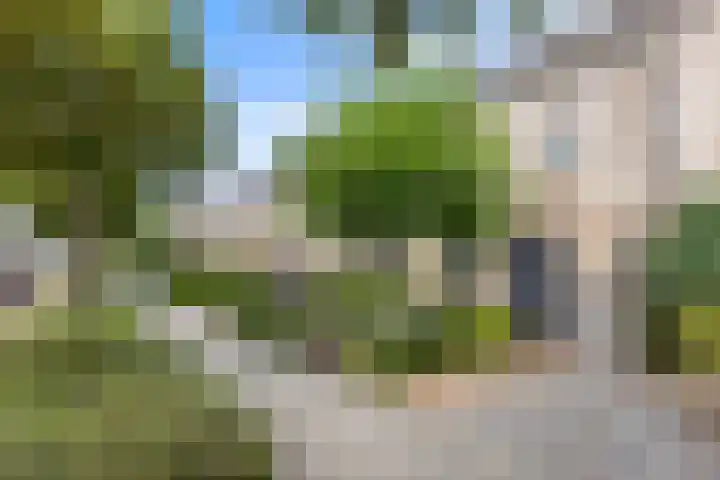 Korfmakerslaan 4 Voorthuizen thumbnail 33