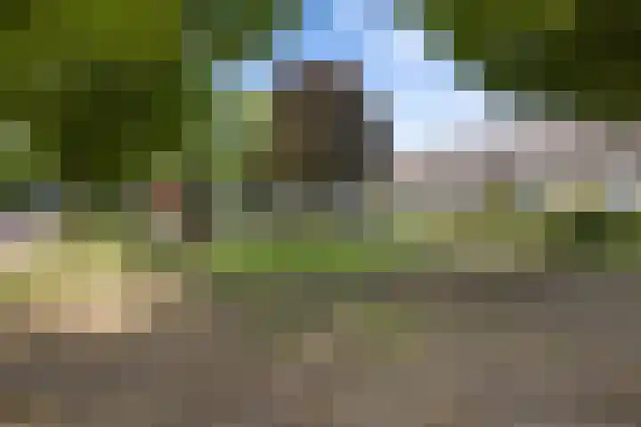 Korfmakerslaan 4 Voorthuizen thumbnail 36