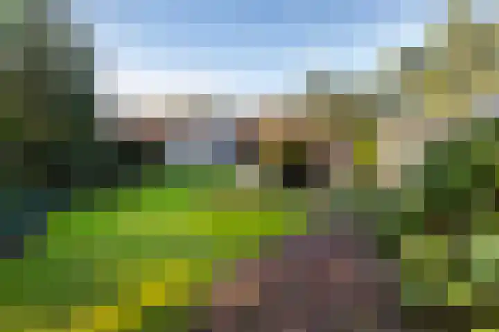 Korfoedreef 111 Utrecht thumbnail 24