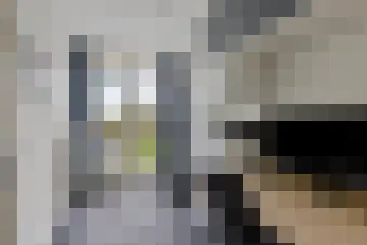 Korfoedreef 111 Utrecht thumbnail 25