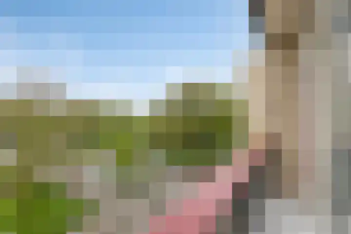 Korfoedreef 111 Utrecht thumbnail 30
