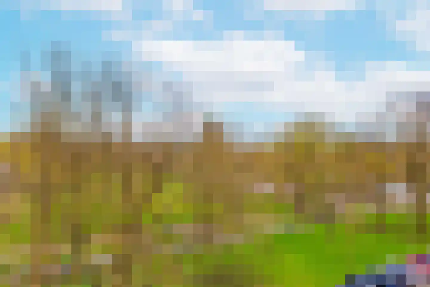 Korfoedreef 119 Utrecht thumbnail 22