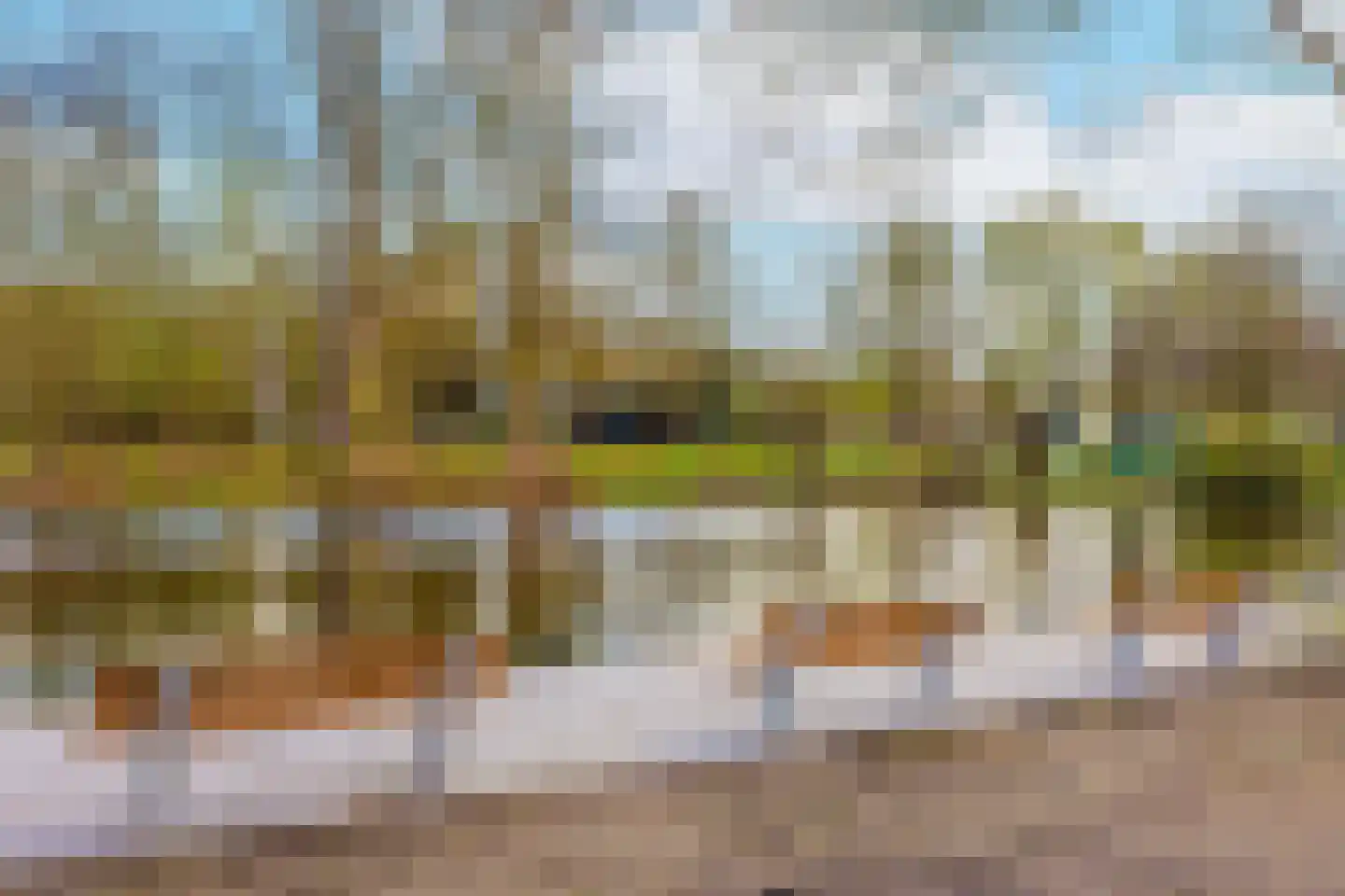 Korfoedreef 119 Utrecht thumbnail 22