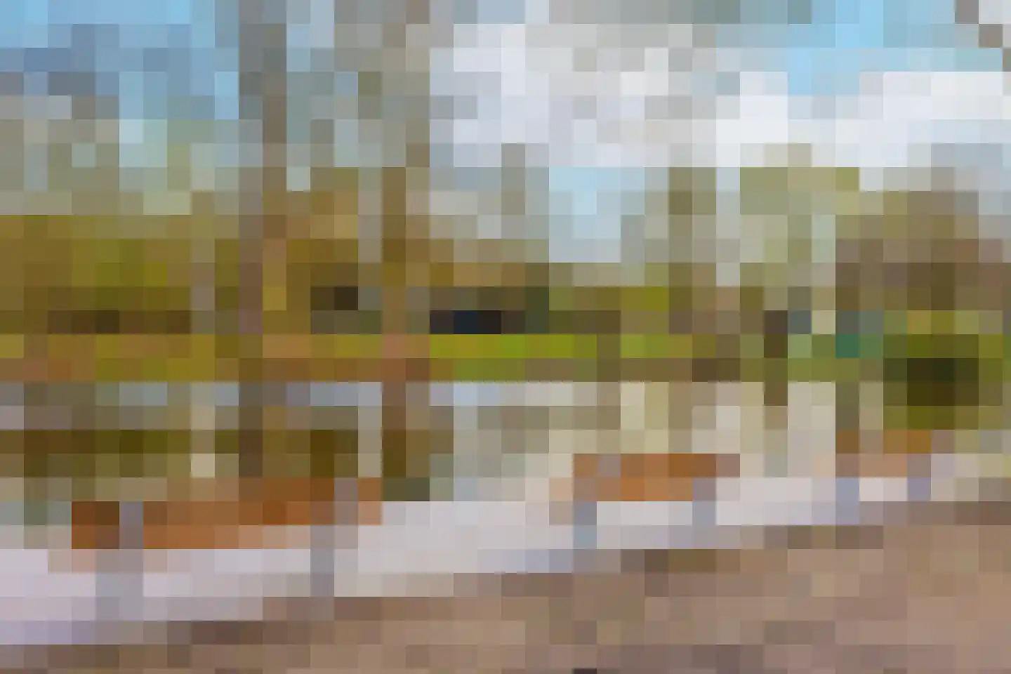 Korfoedreef 119 Utrecht thumbnail 23