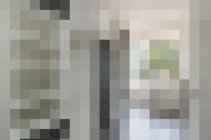 Korfoedreef 13 Utrecht thumbnail 11