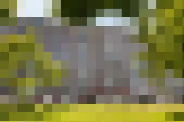 Korfoedreef 13 Utrecht thumbnail 19