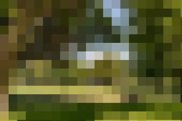 Korfoedreef 13 Utrecht thumbnail 20