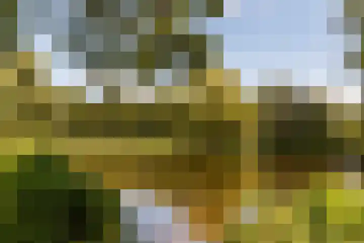 Korfoedreef 13 Utrecht thumbnail 21