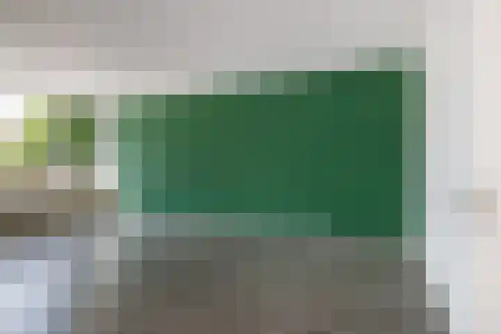 Korfoedreef 13 Utrecht thumbnail 8