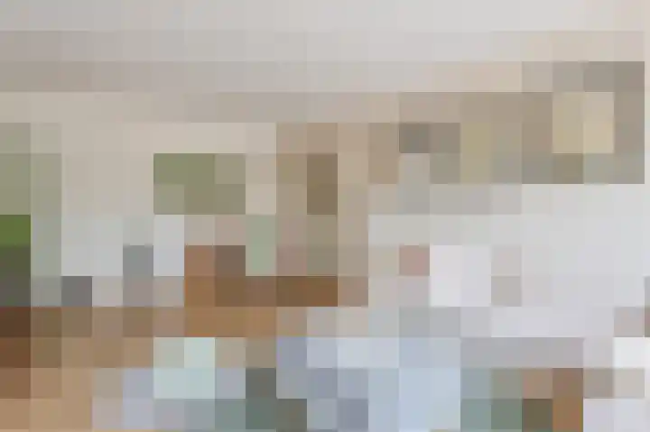 Korfoedreef 15 Utrecht thumbnail 11