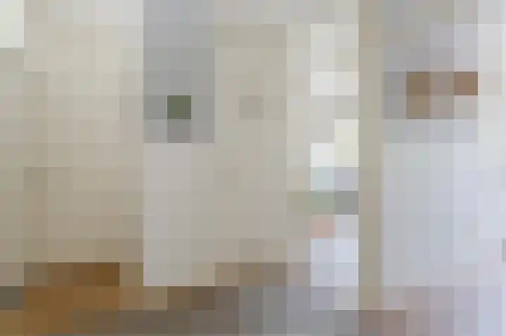 Korfoedreef 15 Utrecht thumbnail 12