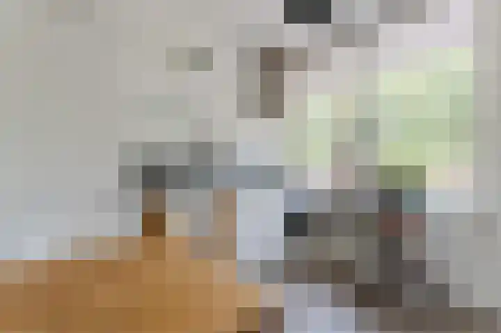 Korfoedreef 15 Utrecht thumbnail 13