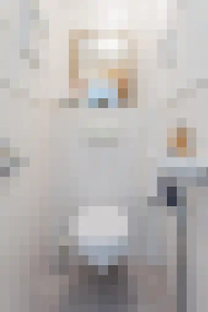 Korfoedreef 15 Utrecht thumbnail 18