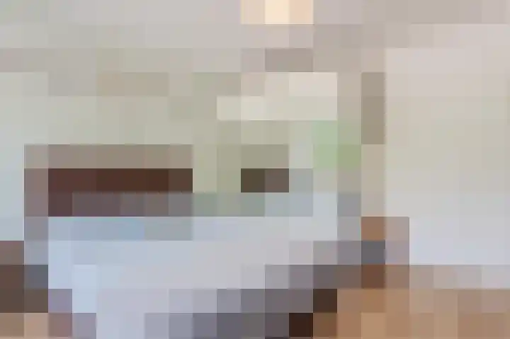 Korfoedreef 15 Utrecht thumbnail 19