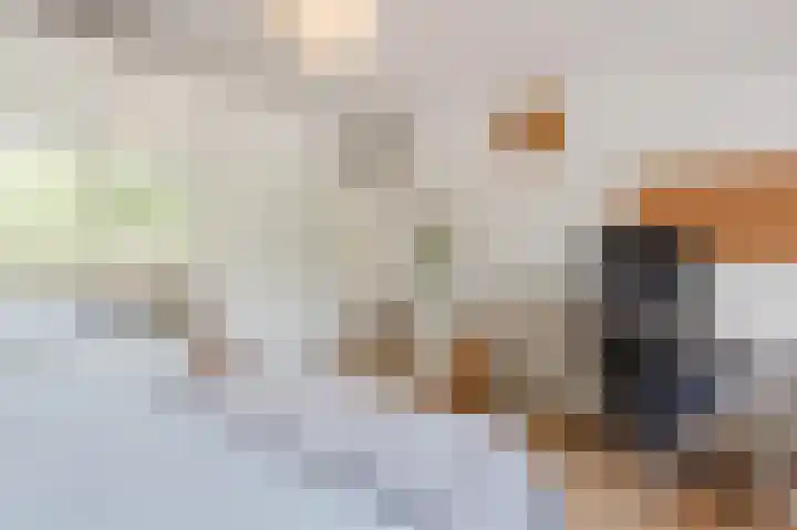 Korfoedreef 15 Utrecht thumbnail 21