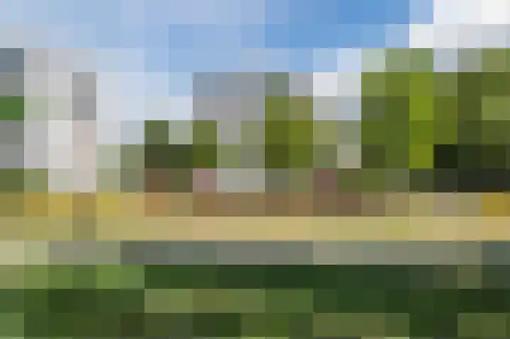 Korfoedreef 15 Utrecht thumbnail 32