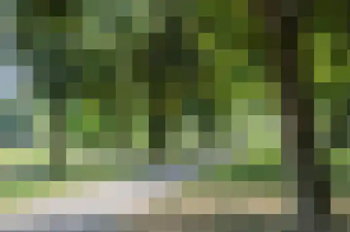 Korfoedreef 15 Utrecht thumbnail 36